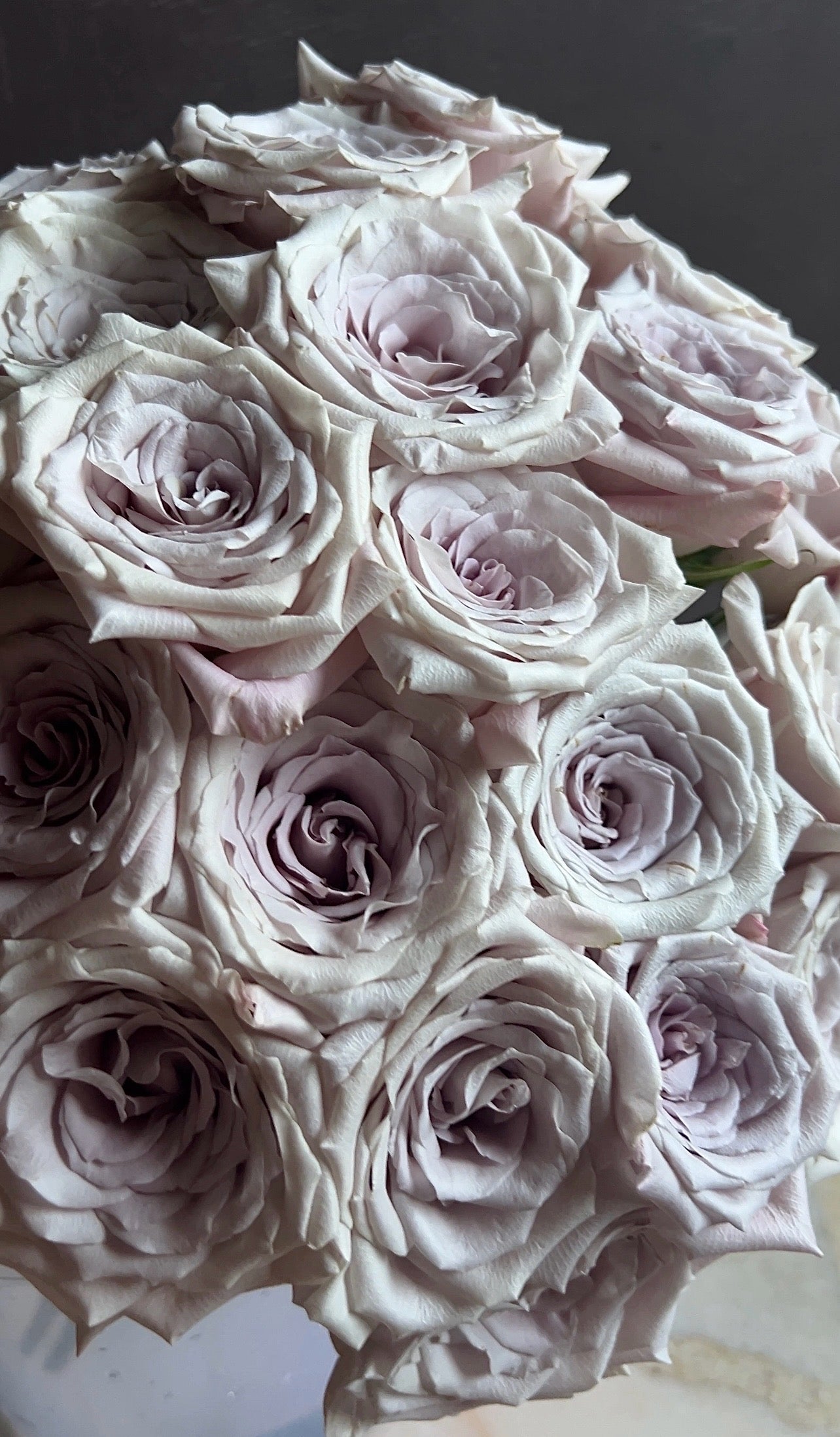 Lavender Mist